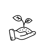 Pflanzenwachs